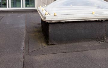 disadvantages of Pipps Hill flat roofs