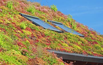 Pipps Hill living roof systems
