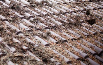 Pipps Hill roof cleaning companies